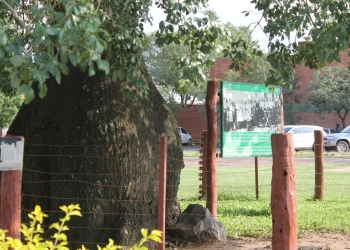 Pronostican máxima de 35º C