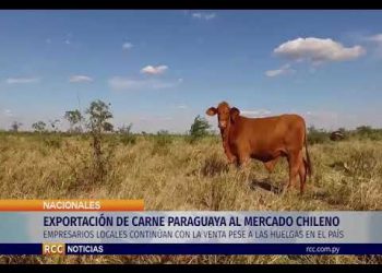 EXPORTACIÓN DE CARNE PARAGUAYA AL MERCADO CHILENO