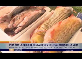 PIRÁ ÁRA LA FERIA DE PESCADO CON OFERTAS