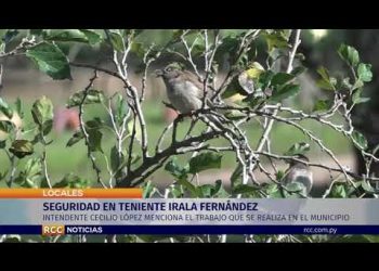 SEGURIDAD EN TENIENTE IRALA FERNANDEZ