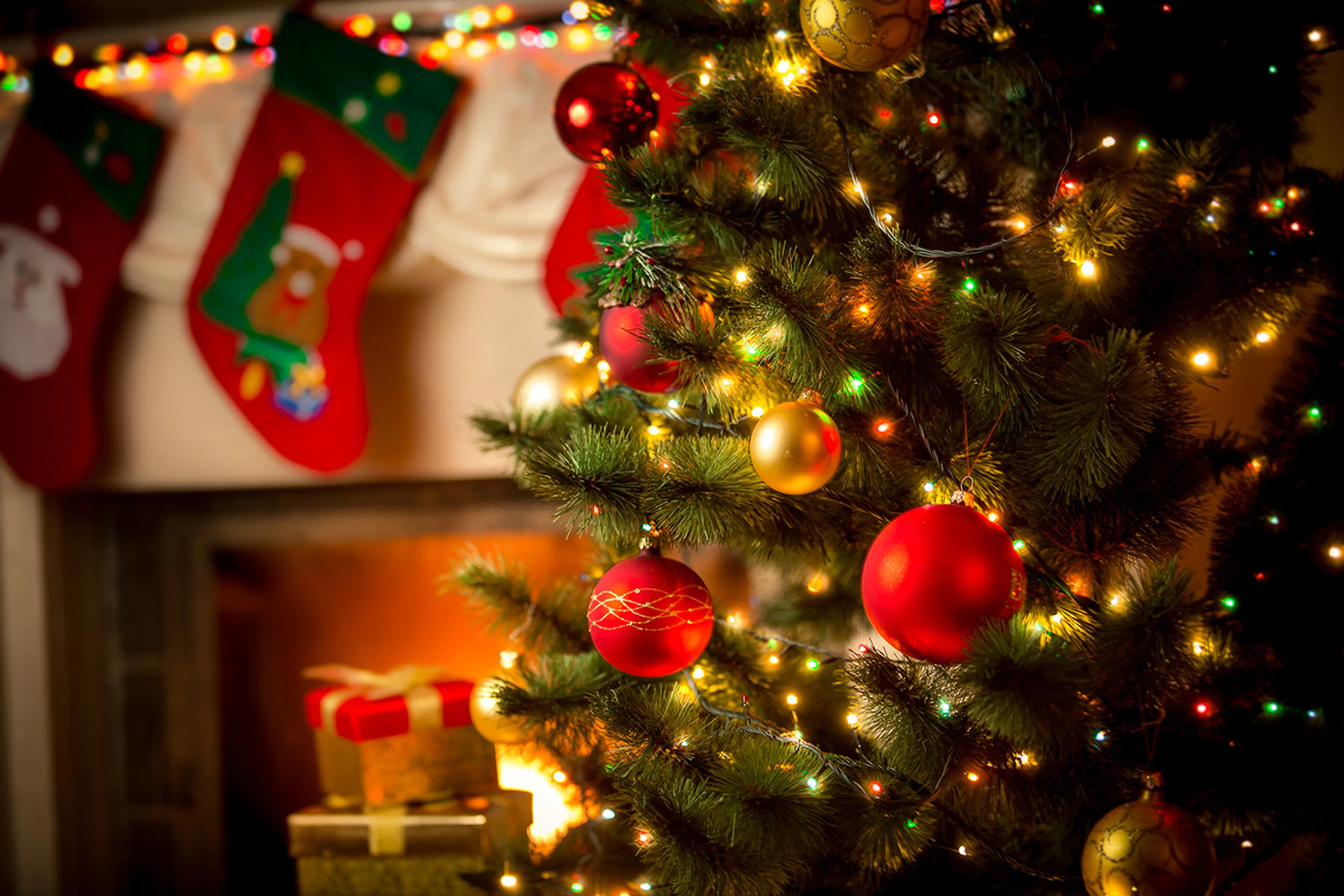 Tres cosas importantes que debes hacer esta navidad